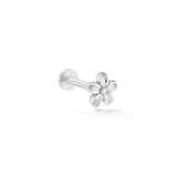 Aster 14k solid white gold daisy internally threaded labret earring