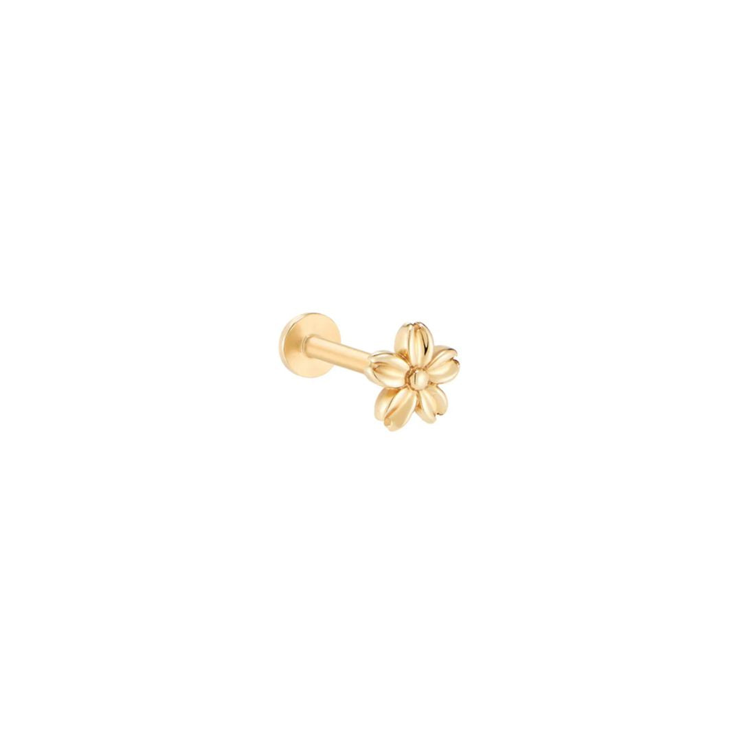 Aster 14k solid yellow gold daisy internally threaded labret earring - Helix & Conch