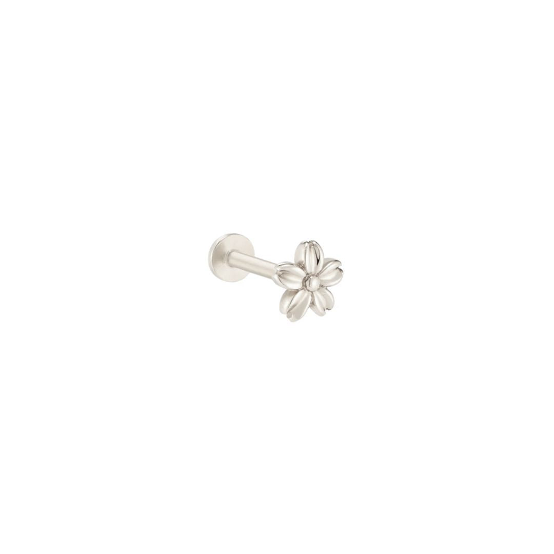 Aster 14k solid white gold daisy internally threaded labret earring - Helix & Conch