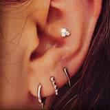 Close-up of an ear with multiple silver earrings