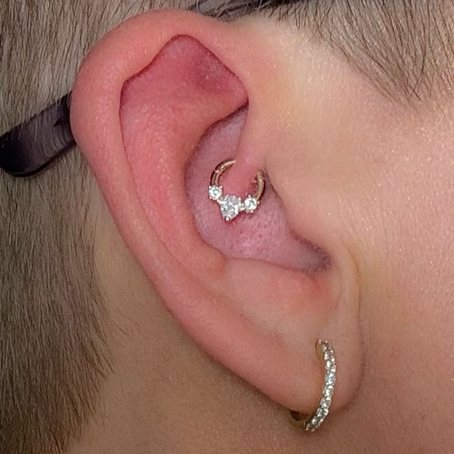 Rica 9k solid yellow gold daith single hoop earring - Helix & Conch